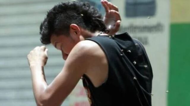 Lamentablemente, falleció el trabajador alcanzado por un enjambre de abejas en Aristóbulo del Valle. Imagen ilustrativa.