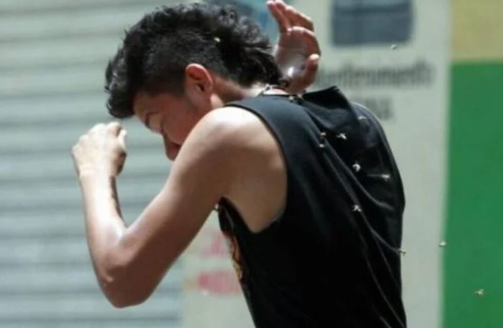 Aristóbulo del Valle: un hombre terminó internado tras ser atacado por un enjambre de abejas