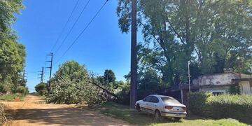 Cortes de luz en Concordia
