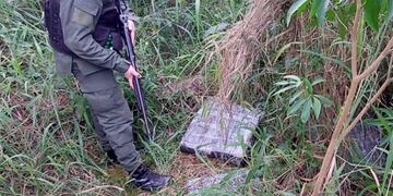 Encontraron droga en un pinar en San Pedro.