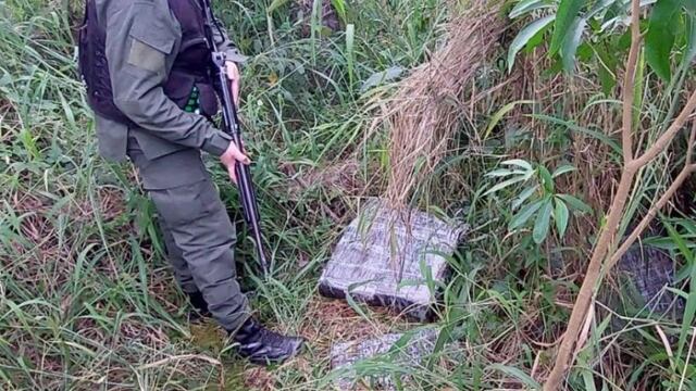 Encontraron droga en un pinar en San Pedro.