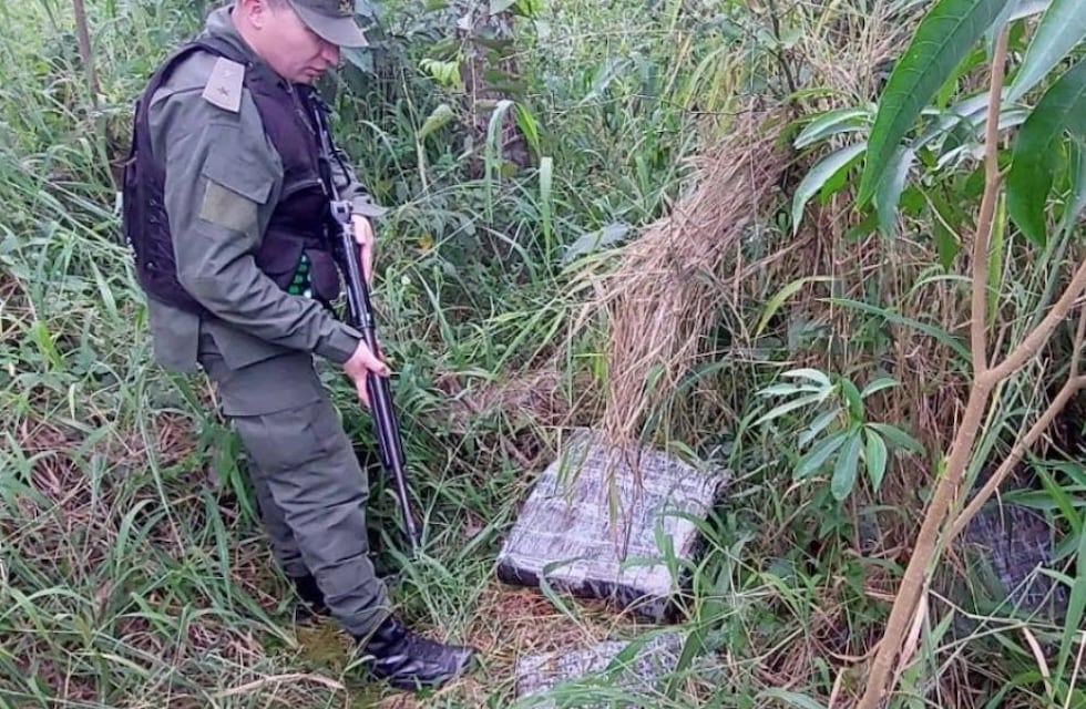 Encontraron droga en un pinar en San Pedro
