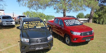 6 Horas a la Corvina de Mayor Peso Club Recreativo Echegoyen