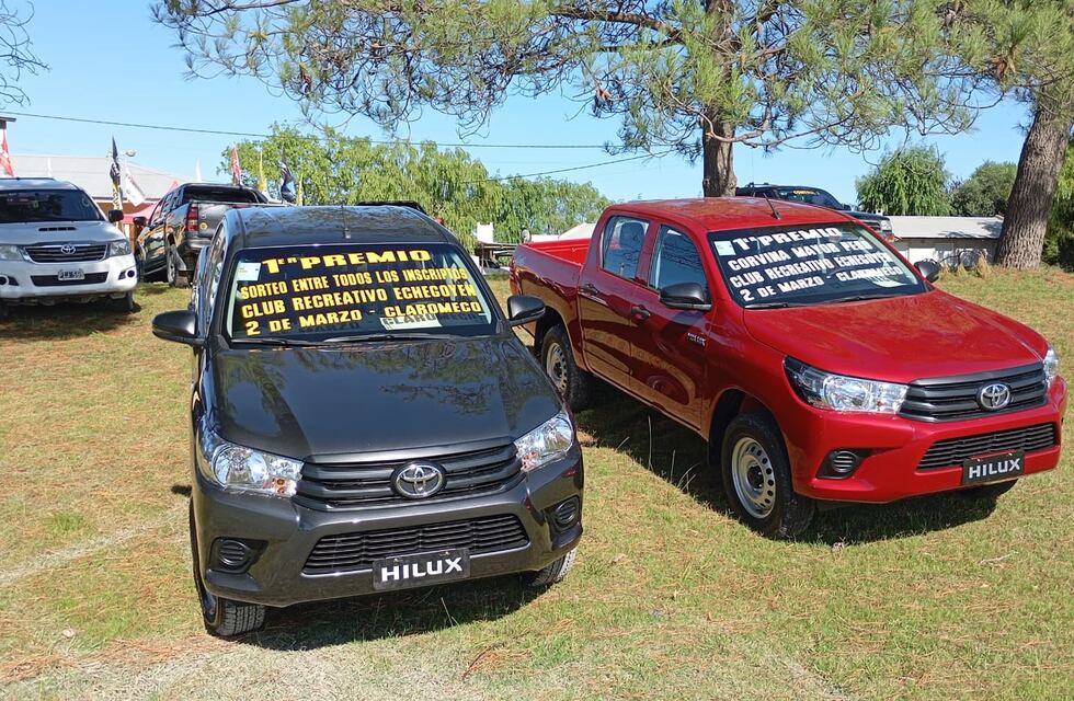 Claromecó ya palpita las 6 Horas a la Corvina de Mayor Peso del Club Recreativo Echegoyen