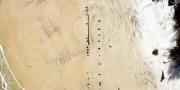 La extraña estructura de 30 metros de largo que quedó al descubierto en Florida.