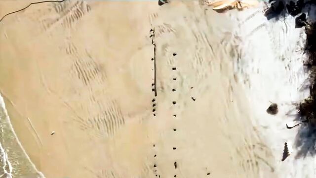 La extraña estructura de 30 metros de largo que quedó al descubierto en Florida.