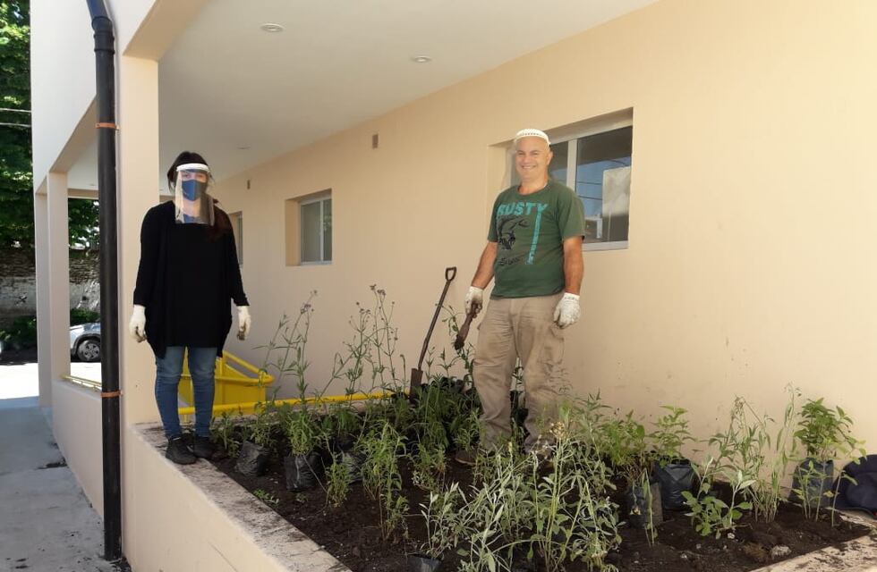 Original iniciativa: crearon un cantero con plantas nativas de la región para el Materno Infantil