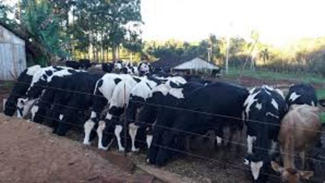 Quedó definida la agenda de la Mesa Provincial Lechera 2021