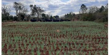 Se encuentra prófugo un hombre que habría abusado de una menor en Gobernador Roca.