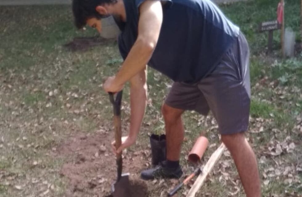 Otra escuela de Carlos Paz ya cuenta con diez nuevos árboles autóctonos