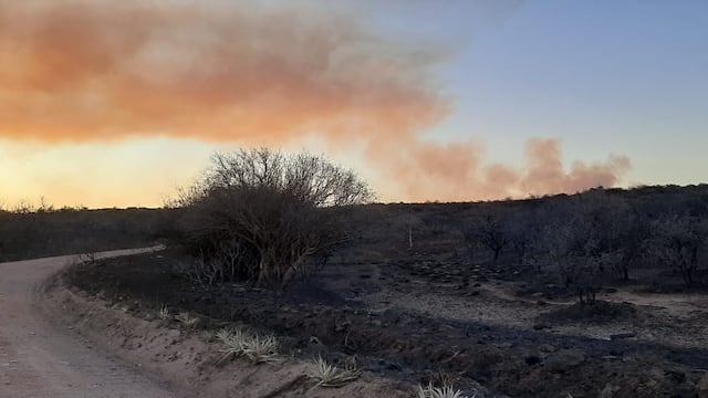 El fuego arrasó 13 mil hectáreas en los departamentos de Tulumba y Sobremonte. Desolador (La Voz).