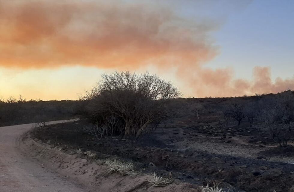 Incendios en Córdoba: el del norte de la provincia ya es el más devastador del año