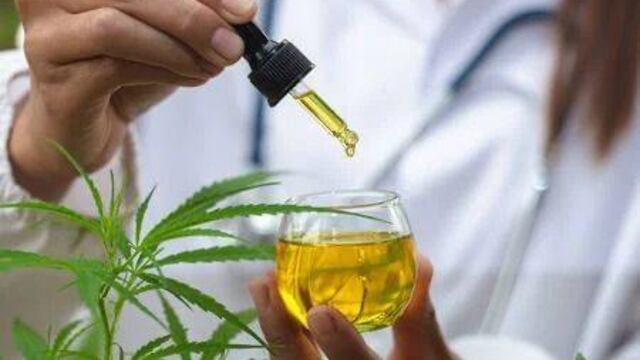 Tolhuin ya tiene un Consultorio de Medicina Cannábica Integral