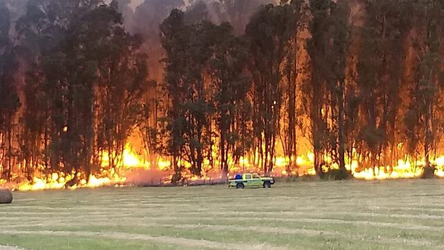 Fuego en las sierras de Tandil
