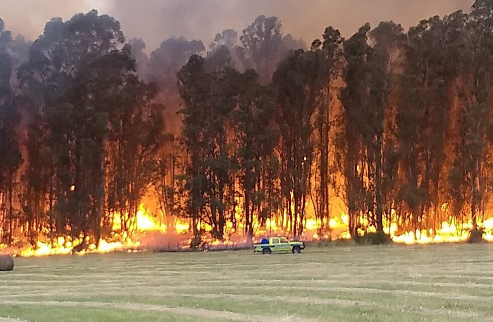 Impactante incendio en las sierras de Tandil