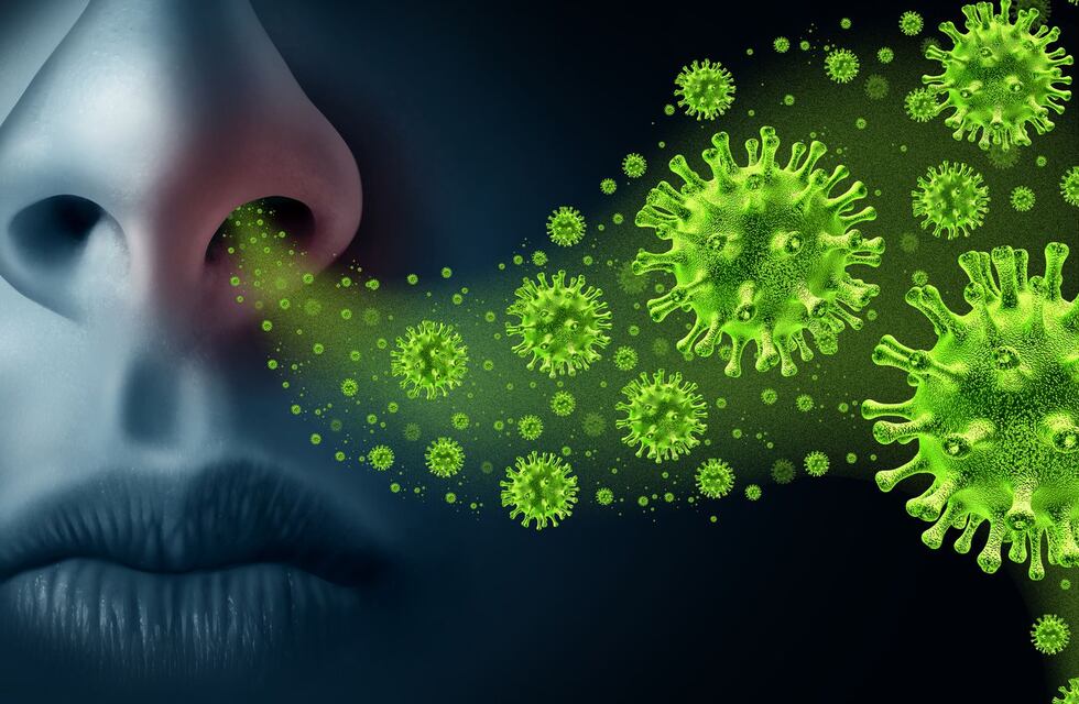 Influenza 2022: recomendaciones para la población