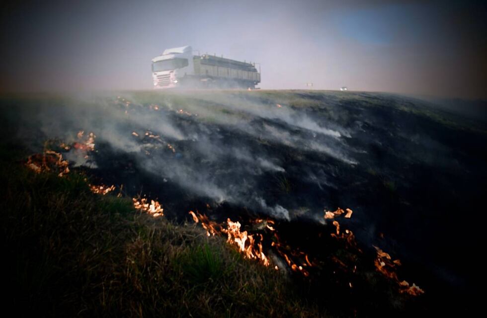 Incendios frente a Rosario: presentan información de propiedad de las tierras
