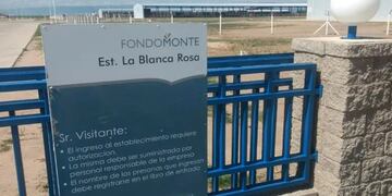 Denunciaron a la empresa saudí que produce alfalfa en Córdoba.