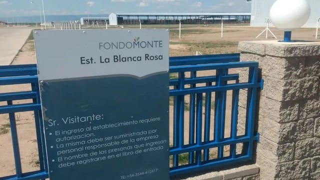 Denunciaron a la empresa saudí que produce alfalfa en Córdoba.