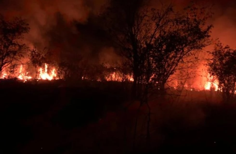 Bomberos Voluntarios de Puerto Rico controlan un incendio en la Reserva Natural Municipal Monte Seguín