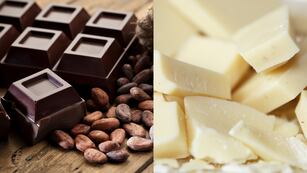 Diferencias entre chocolate negro y blanco.