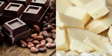 Diferencias entre chocolate negro y blanco.
