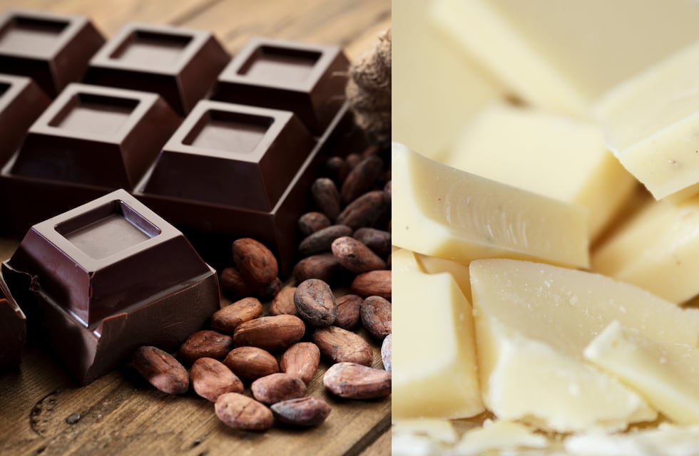 Cuál chocolate es mejor para la salud: el blanco o el negro
