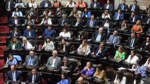 Cámara de Diputados. Foto: Federico Lopez Claro