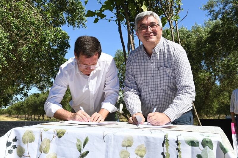 Javier Rodríguez inauguró la Ruta del Olivo: “Nuestra apuesta siempre es por la producción, con los pies en la tierra”