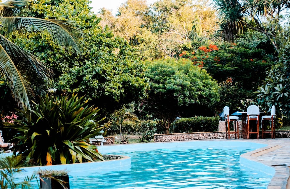 Condenaron a una mujer que estaba chateando en una app de citas mientras su hija de 2 años moría ahogada en la pileta