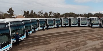 Tamse suma unidades 0km a su flota.