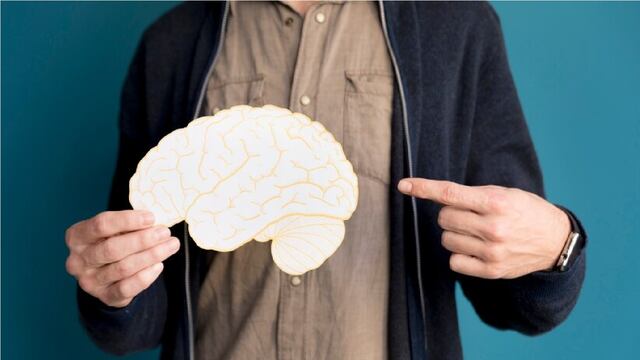 Hay un listado de alimentos que se deberían incluir en su dieta porque ayudan a la memoria.