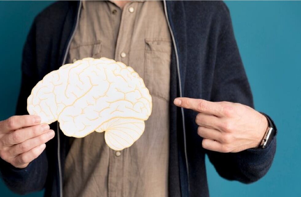 Estos son los 7 alimentos que deberías incluir en tu dieta porque ayudan a la memoria