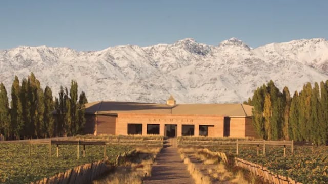 6 bodegas para visitar en Mendoza por menos de $2000 y aprovechar el pre viaje 4