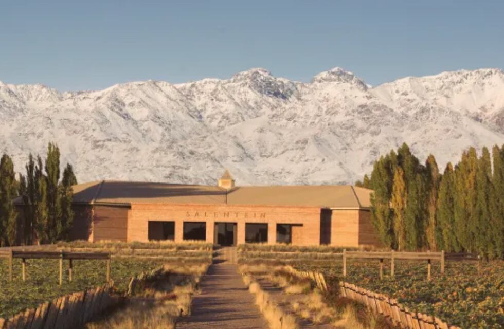 Semana Santa: 6 bodegas para visitar en Mendoza por menos de $2000