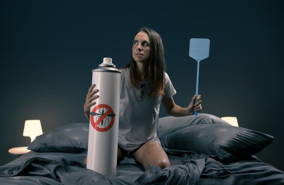 ¿No podés dormir por los mosquitos?: este truco casero con 3 productos te puede salvar la noche