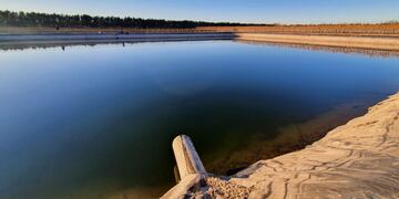 La estanque donde fueron hallados los cuerpos del matrimonio en finca La Urraca de Luján de Cuyo. Gentileza