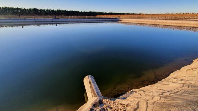 La estanque donde fueron hallados los cuerpos del matrimonio en finca La Urraca de Luján de Cuyo. Gentileza