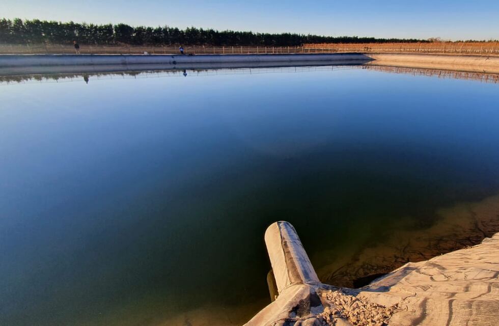 Un matrimonio murió ahogado en una finca de Luján