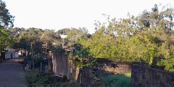 Realizarán labores de poda y limpieza en Puerto Iguazú.