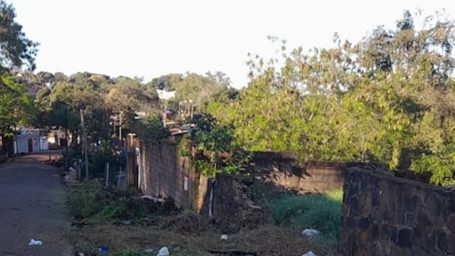 Realizarán labores de poda y limpieza en Puerto Iguazú.