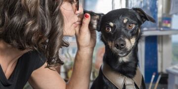 Un análisis del Dr. Nicholas Epley, profesor de ciencias del comportamiento en la Universidad de Chicago. (Foto: Web)