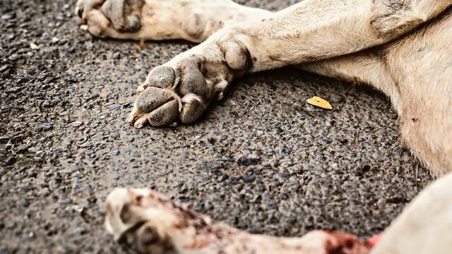 El pequeño quedó internado en el Hospital Infantil.