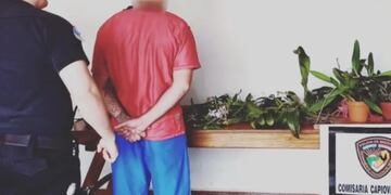 Puerto Rico: descubrió al ladrón de sus orquídeas mediante las redes sociales.