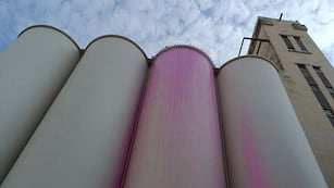 La obra se puso en marcha el 28 de julio a la vera del río Paraná.