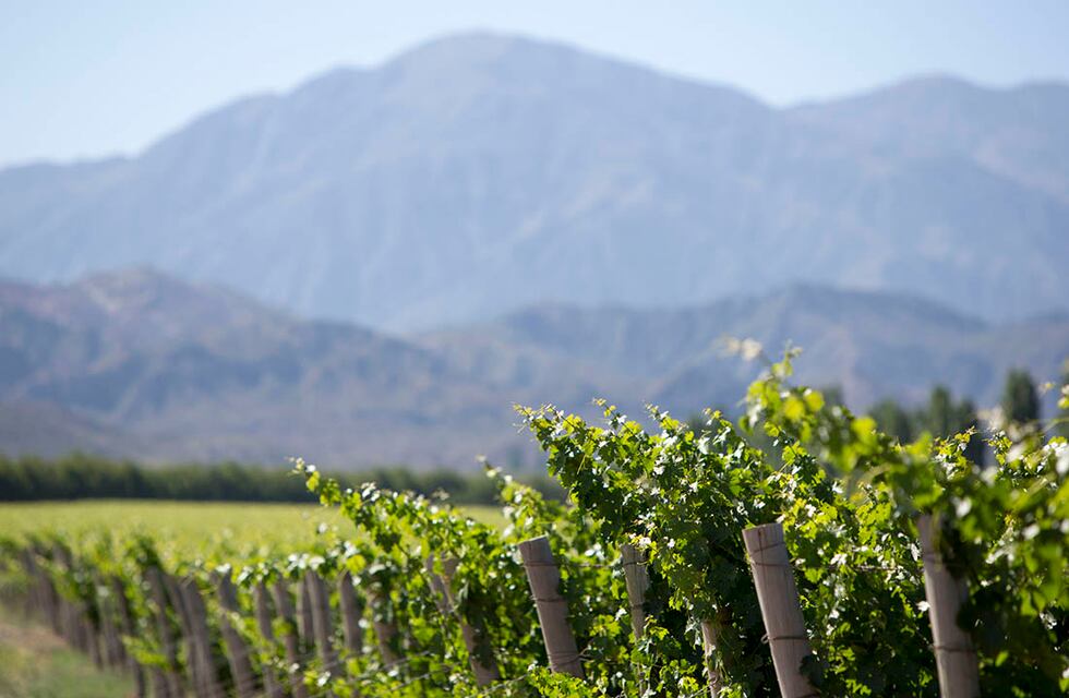 Semana Santa: cuáles bodegas tendrán almuerzo de Pascuas el domingo