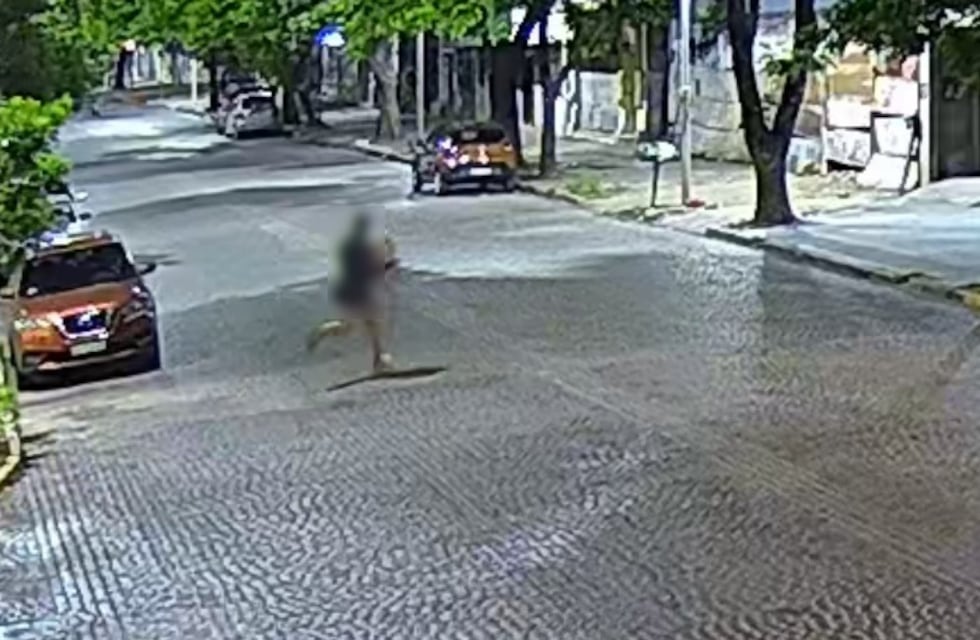 Dos individuos fueron aprehendidos por robo en un comercio