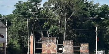 Se aprobó presupuesto para castrar a las mascotas en El Alcázar