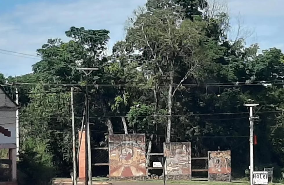 Se aprobó presupuesto para castrar a las mascotas en El Alcázar