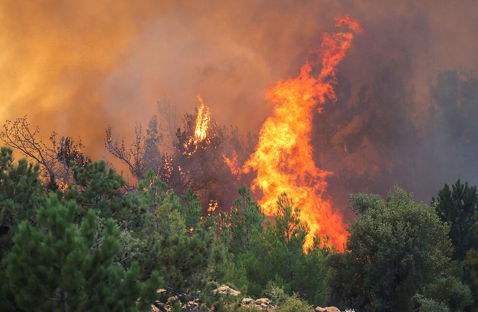 Por las altas temperaturas, el riesgo de incendios es extremo